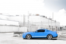 Ford Mustang -   